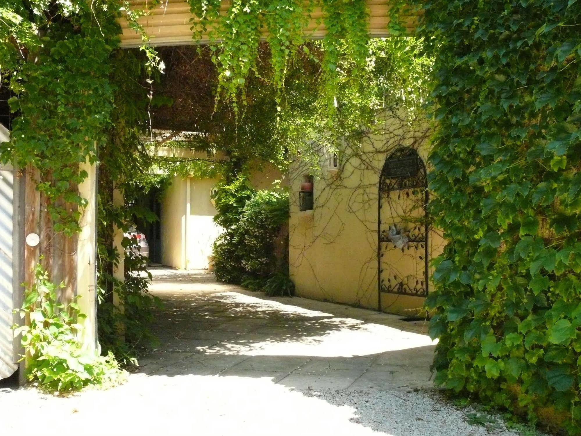 أدليد Athelney Cottage Bed And Breakfast المظهر الخارجي الصورة